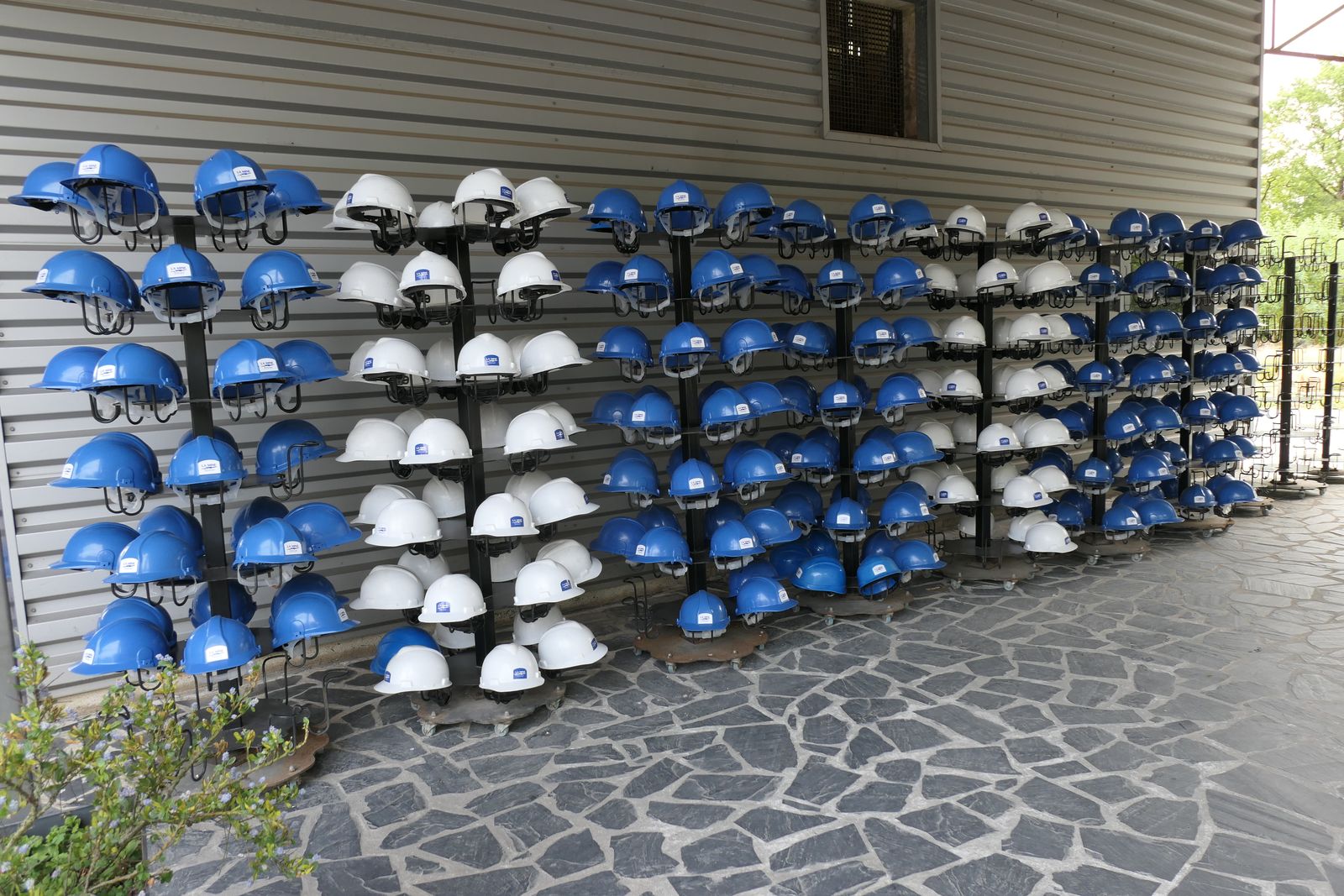 Rows of blue and white safety helmets hanging on a wall